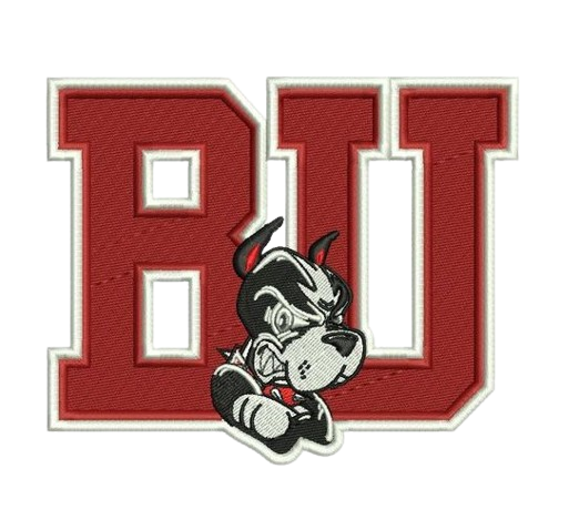 Embroidery Digitizng.